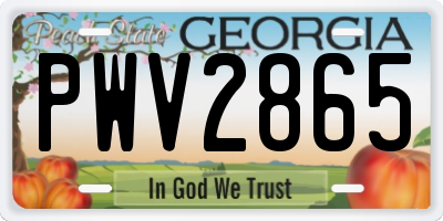 GA license plate PWV2865