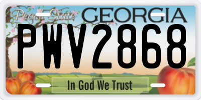 GA license plate PWV2868