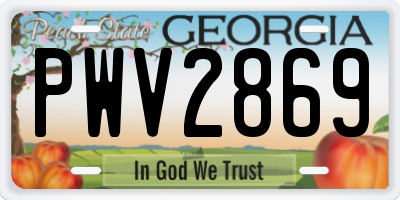 GA license plate PWV2869