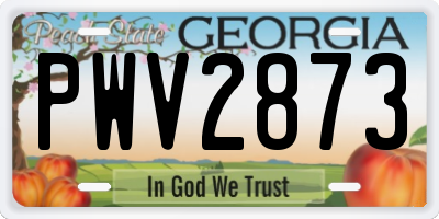 GA license plate PWV2873