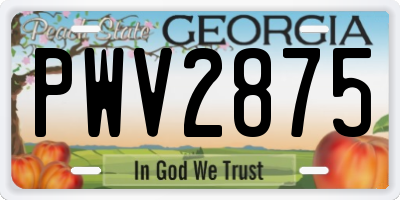 GA license plate PWV2875