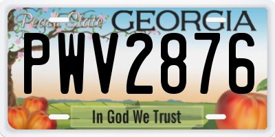 GA license plate PWV2876