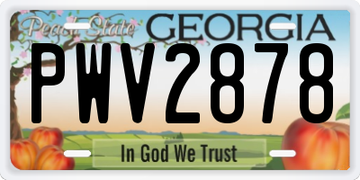 GA license plate PWV2878