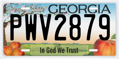 GA license plate PWV2879