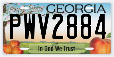 GA license plate PWV2884