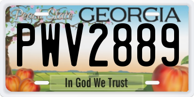 GA license plate PWV2889