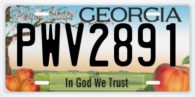 GA license plate PWV2891