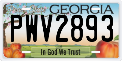 GA license plate PWV2893