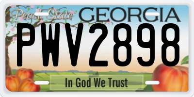 GA license plate PWV2898