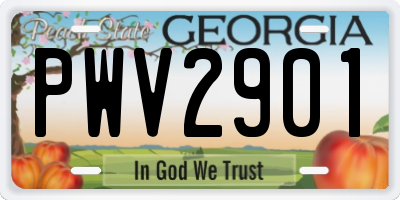 GA license plate PWV2901