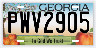 GA license plate PWV2905