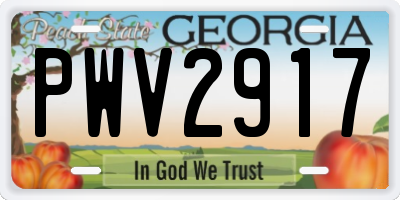 GA license plate PWV2917