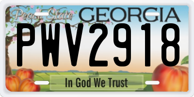 GA license plate PWV2918
