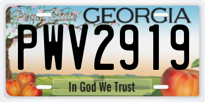GA license plate PWV2919
