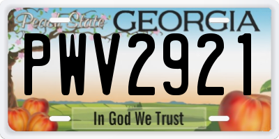 GA license plate PWV2921