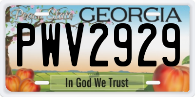 GA license plate PWV2929