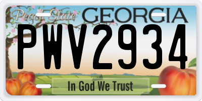 GA license plate PWV2934