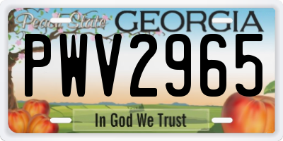GA license plate PWV2965