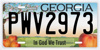 GA license plate PWV2973