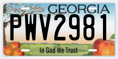 GA license plate PWV2981