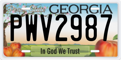 GA license plate PWV2987