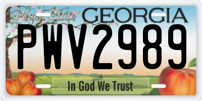 GA license plate PWV2989