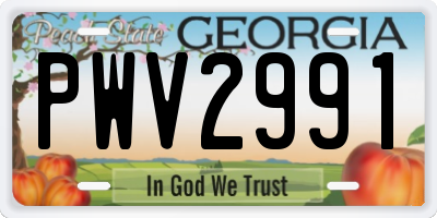 GA license plate PWV2991