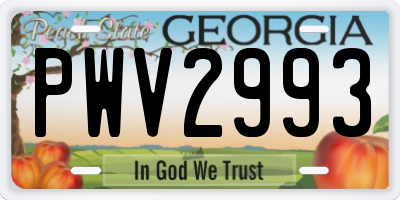 GA license plate PWV2993