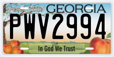 GA license plate PWV2994