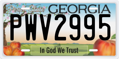 GA license plate PWV2995