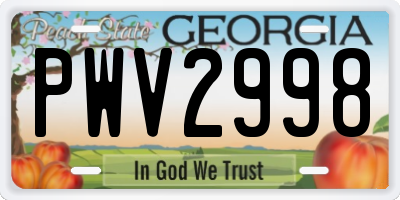 GA license plate PWV2998