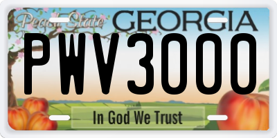 GA license plate PWV3000