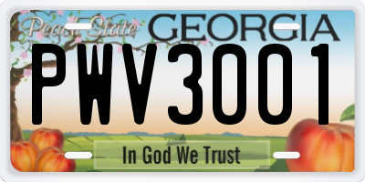 GA license plate PWV3001