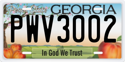 GA license plate PWV3002