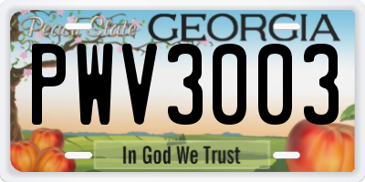 GA license plate PWV3003