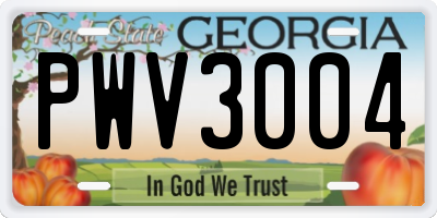 GA license plate PWV3004