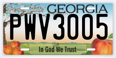 GA license plate PWV3005