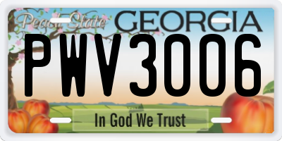 GA license plate PWV3006
