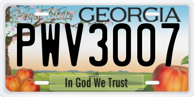 GA license plate PWV3007