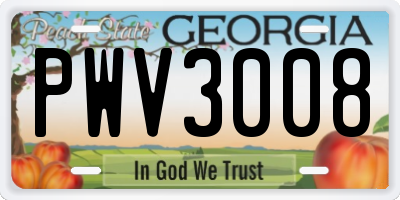 GA license plate PWV3008