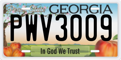 GA license plate PWV3009
