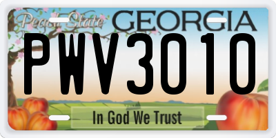 GA license plate PWV3010