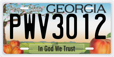 GA license plate PWV3012