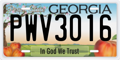GA license plate PWV3016