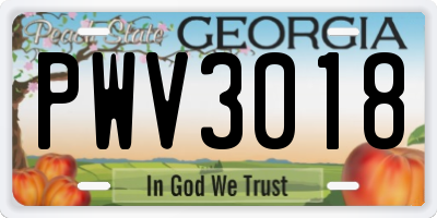 GA license plate PWV3018