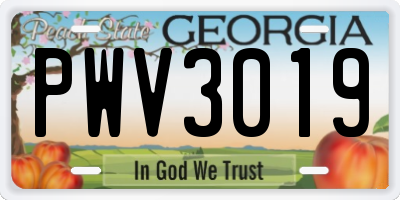 GA license plate PWV3019
