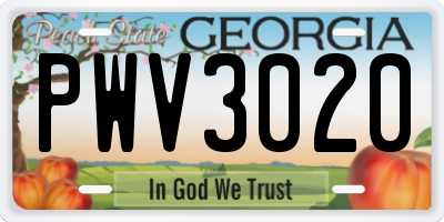 GA license plate PWV3020