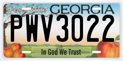 GA license plate PWV3022