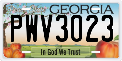 GA license plate PWV3023