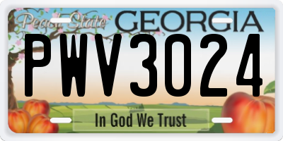 GA license plate PWV3024